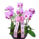 초전경희한의원 이미지