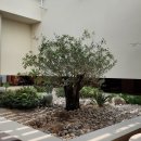 두실 | 내돈내산 카페 추천┃부산 금정구 LAB 이흥용과자점 두실점 솔직후기