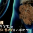 낱말풀이 ...(21편) #미주알고주알 이미지