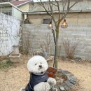 희동댁