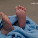 신세계병원산후조리원 이미지