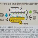 여작 비우자(腸) 변비젤리로 장건강 챙겨요!