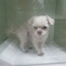 중앙로역 3번출구 이미지