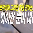 하이얀 눈이 내리면 / 詩 단미그린비, 토닥토닥이며 그리운 마음 전하는... 이미지