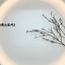 뷰티스토커(2호점) 이미지