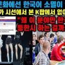 [해외 반응] 이 한국 문화에서는 한국어 소멸이 이뤄지는 것 같아 안타깝다 말하는 문화평론가 이미지