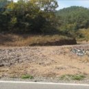 법수면사무소 이미지