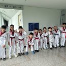 한국체대미송태권도장 네이버블로그