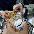 제주생도야지