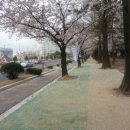 창원대로 이미지