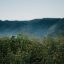 누구나 할 수 있는 포토샵 이미지