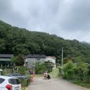 행구농장 | 23개월 육아일기 남양주 블루베리 농장 따기체험 경기도 아이와가볼만한곳