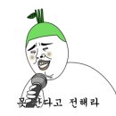 한스캠핑장 이미지