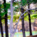 원천공원 이미지