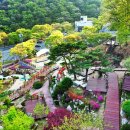 도화지오토캠핑장 이미지