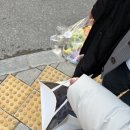 수원 3대 갈비 맛집 가보정 (상견례 장소, 부모님 인사 자리 예약) 후기