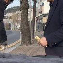 대야카센타 이미지