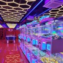 Play뽑기방 이미지