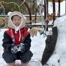 시립센트럴포레어린이집 이미지