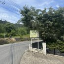 양평하늘호수 애견동반 단체펜션 이미지