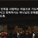 갈멜목장 이미지