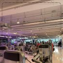 머슬 라운지 이미지