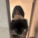마리네뜨 이미지