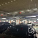 난리난 홈플러스 근황 상품권 포인트 사용 꿀팁