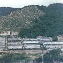 형제도