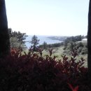 비스비제주 앤 팜빌리지 이미지