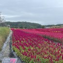 철원고등학교 이미지