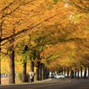 곡대천 Daum카페