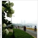 호미숙 자전거여행[인연이란]초대받은 논현동 `장수가`, 한강의 풍경들 이미지