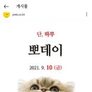 뽀데이 이미지
