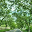 왕후펜션 이미지