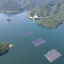 바다태양광발전소 이미지