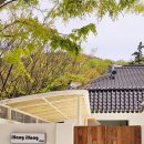 일랑일랑 스테이 이미지