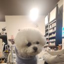 제주힐리조트 | 제주 서귀포 가성비 좋은 숙소 돈내코힐리조트 숙박후기