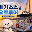 여수투어 | 여수데이트 추천! 페가소스 요트투어 타고 즐긴 특별한 여수요트투어 후기