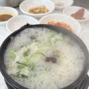 군산맛삼계탕 | 군산 조촌동 맛집 영신옥, 녹두삼계탕과 도가니탕 후기