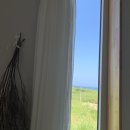 유어스프링 이미지