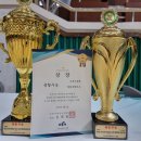 경희대 챔피온태권도장 이미지