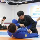 주짓수랜드