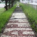 최신컴퓨터세탁소 이미지