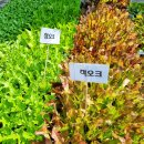 중앙한방병원 이미지