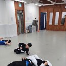 김포골든라이온주짓수사우점