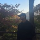 국제커플 가을 데이트, 화담숲 뚜벅이 방문 후기, 씨드그린 카페, 화담채 전시, 모노레일, 사당 전주전집