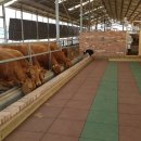 범당골농장 이미지