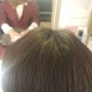 호식이두마리치킨전대 이미지