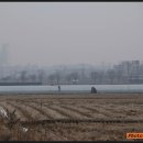 오향리선돌 이미지